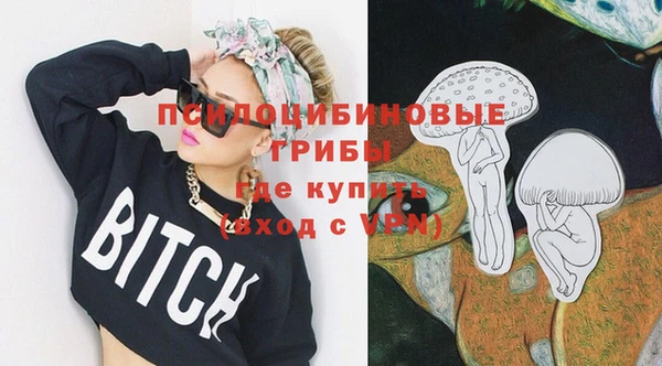 герыч Гусь-Хрустальный