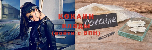 стафф Гусев