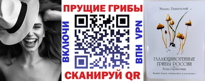 Псилоцибиновые грибы прущие грибы  даркнет сайт  Отрадный 