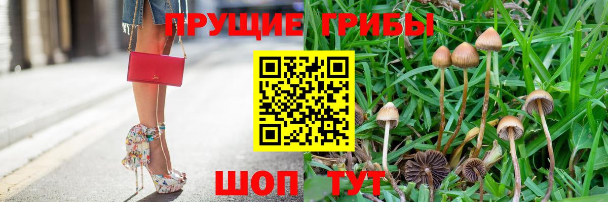 Отрадный  Псилоцибиновые грибы Cubensis  Вход с VPN 