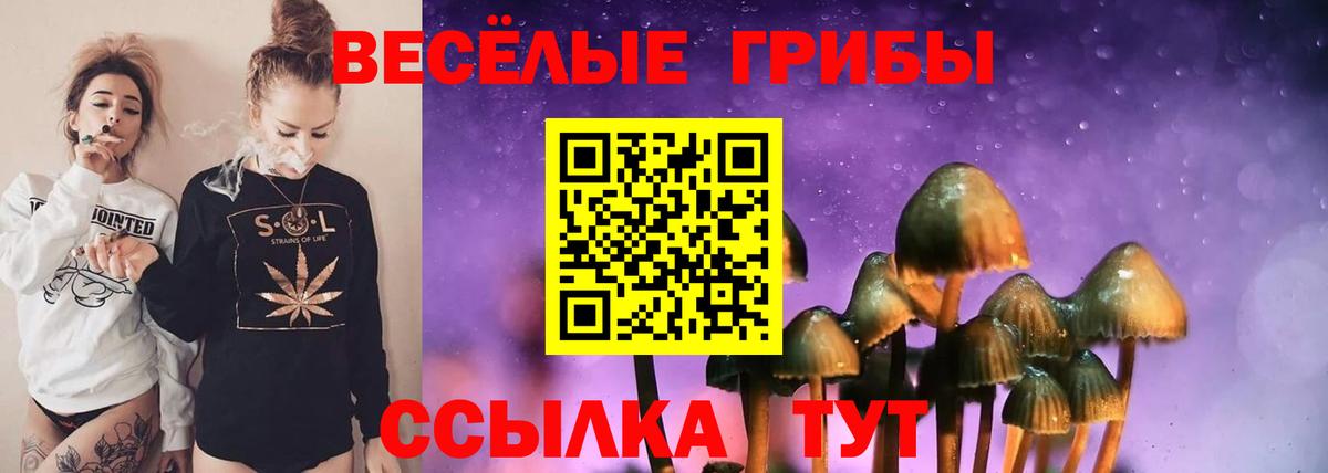 Псилоцибиновые грибы мицелий Отрадный